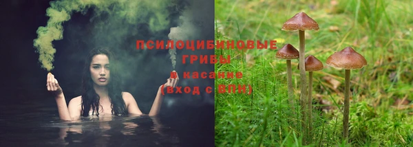 гашик Рославль