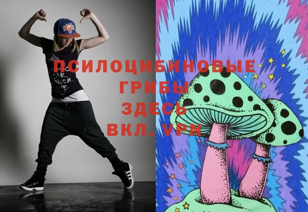 герыч Россошь