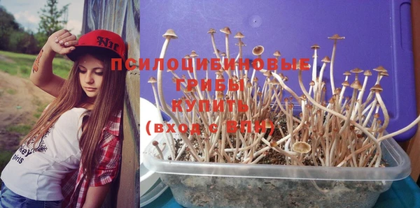 гашик Рославль