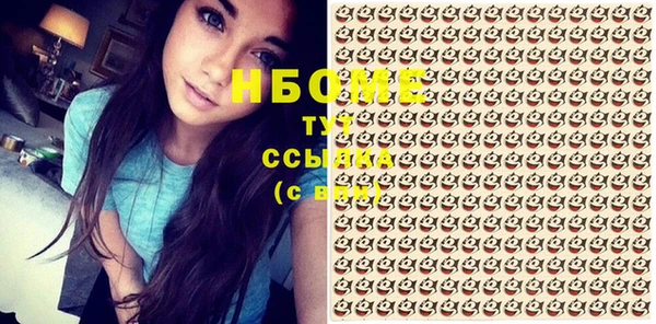 крисы Ростов